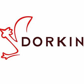 DORKING.jpg